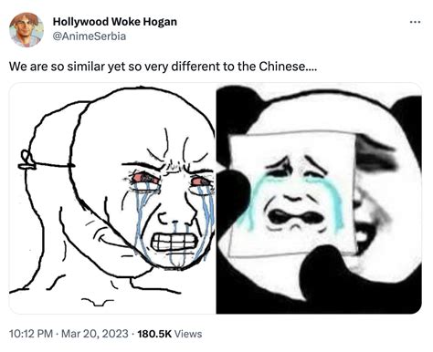 chinese panda meme|Understanding Those Chinese Reaction Images .
